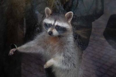 Прикрепленное изображение: IMG_6880.jpg